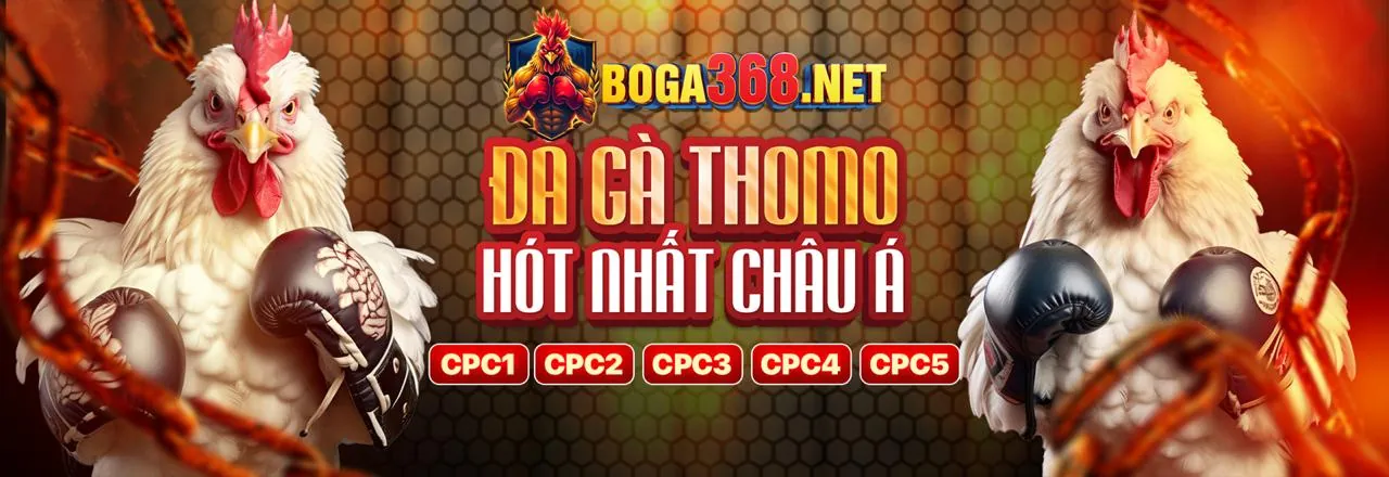 Đá Gà Trực Tuyến 789pet 2026